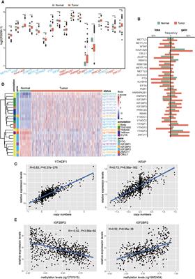 RNA m6A Methylation Regulators Subclassify Luminal Subtype in Breast Cancer